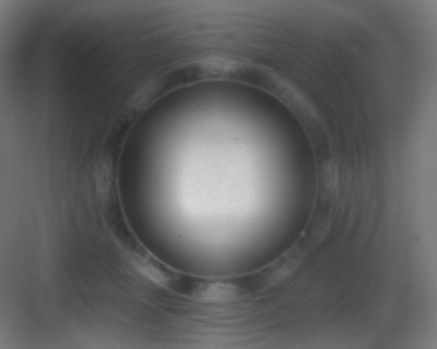 X0000083530463200702091011