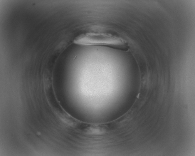 X0000083530464200702091011