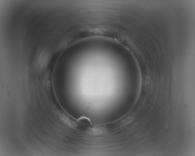 X0000083530466200702091011