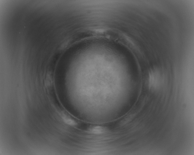 X0000083530467200702091011