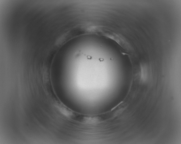 X0000083530469200702091011