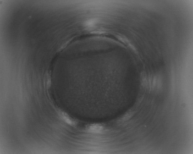 X0000083530471200702091011