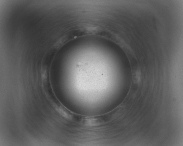 X0000083530472200702091011