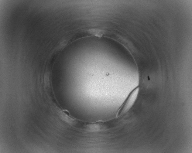 X0000083530473200702091011