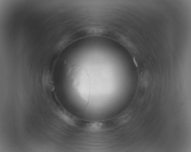 X0000083530474200702091011