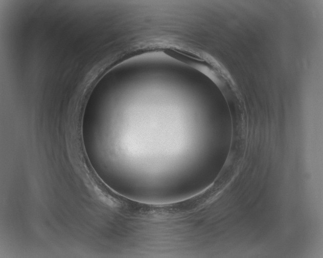 X0000083530481200702091010