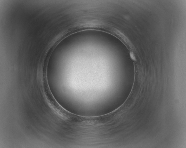 X0000083530482200702091010