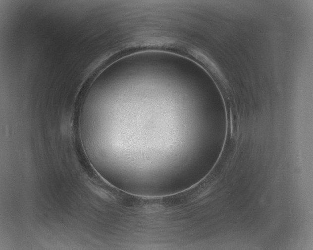 X0000083530483200702091010