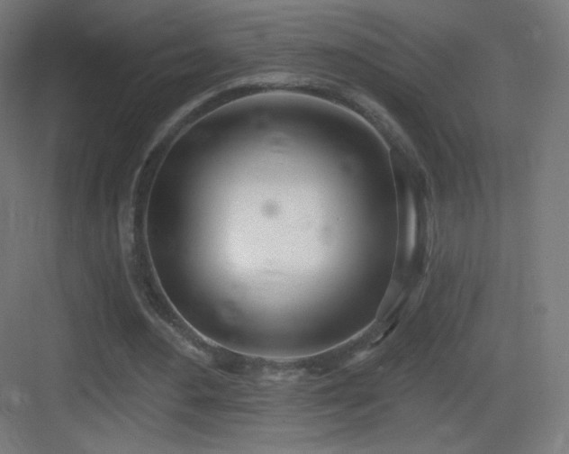 X0000083530484200702091010