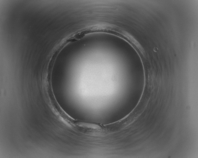 X0000083530485200702091010