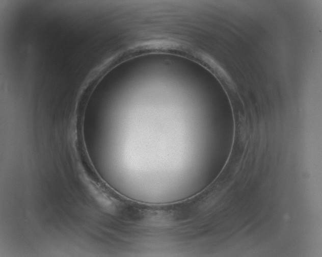 X0000083530486200702091010