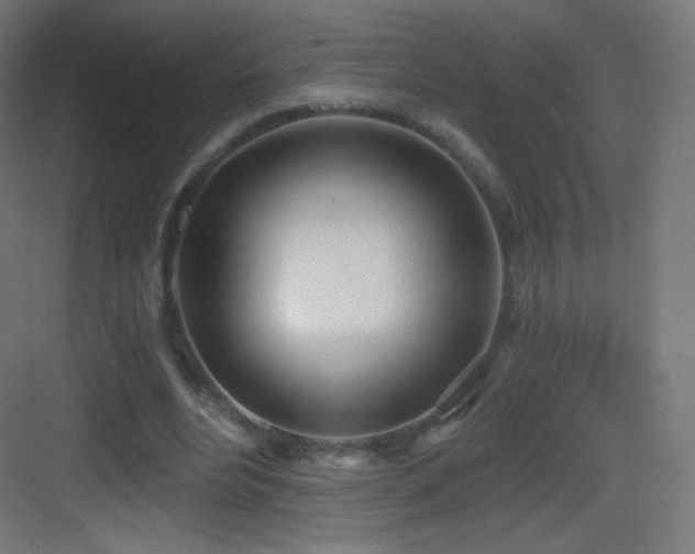 X0000083530488200702091010