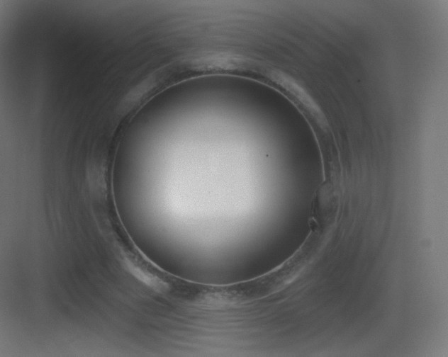 X0000083530489200702091010