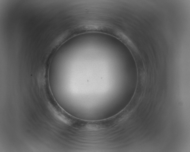 X0000083530490200702091010