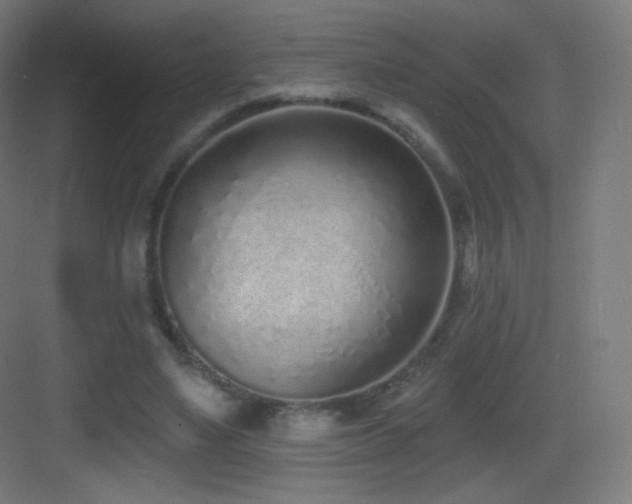 X0000083530491200702091010