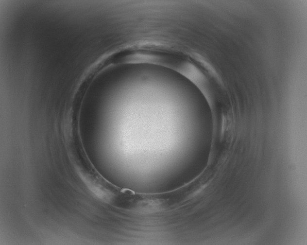 X0000083530492200702091010