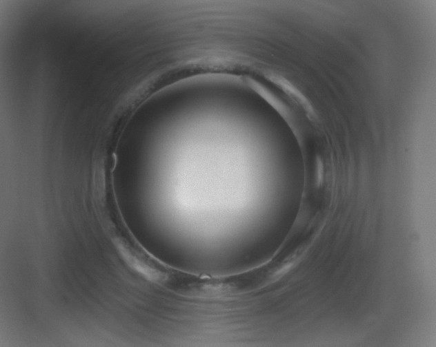 X0000083530493200702091010