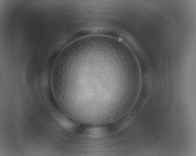 X0000083530499200702091010