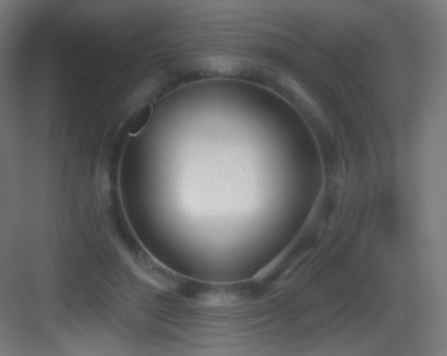 X0000083530500200702091010