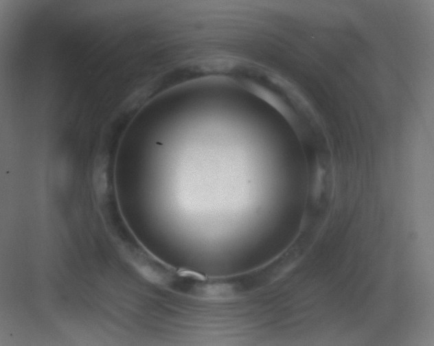 X0000083530501200702091010