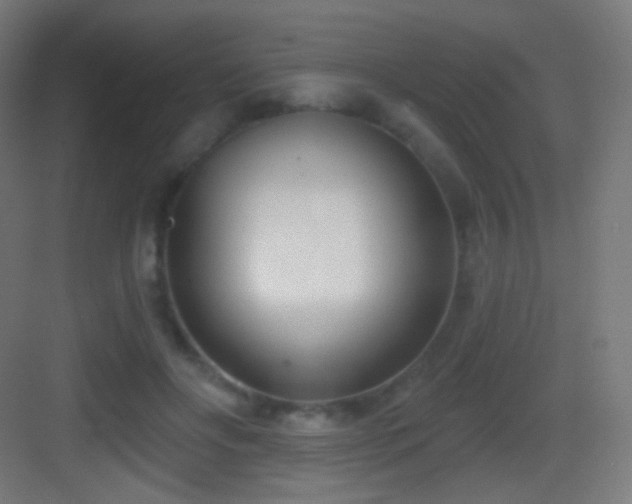 X0000083530502200702091010