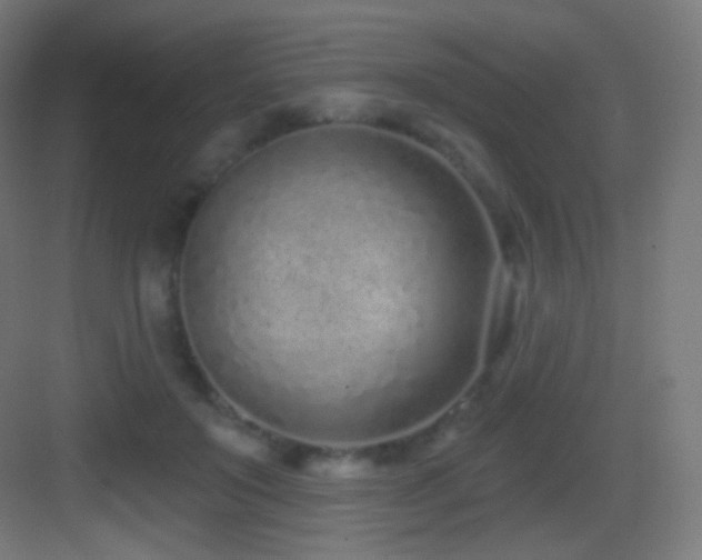 X0000083530503200702091010