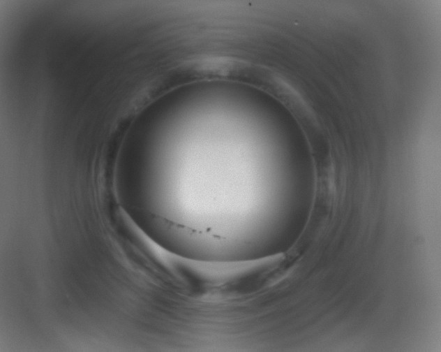 X0000083530504200702091010