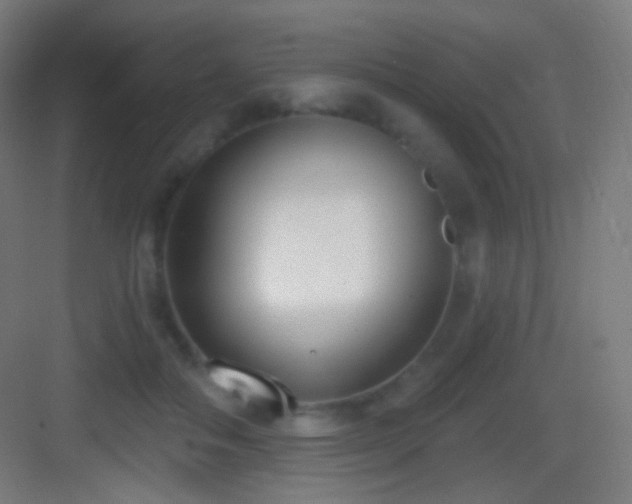 X0000083530506200702091010