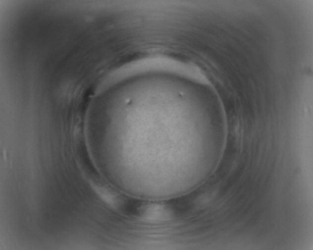 X0000083530507200702091010