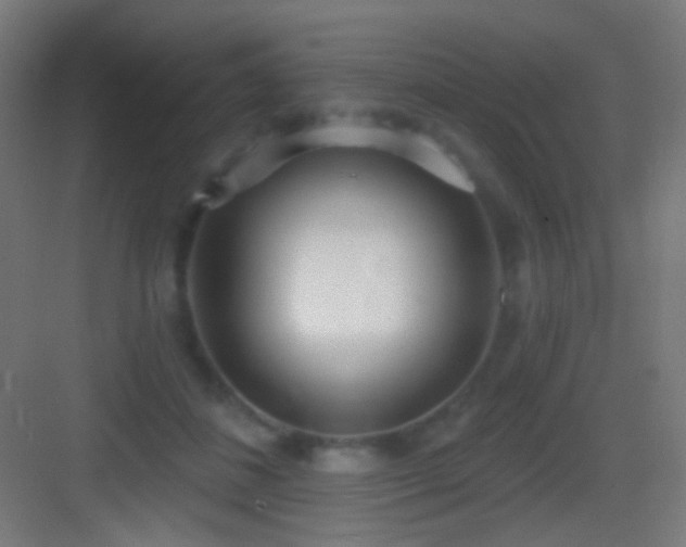 X0000083530508200702091010