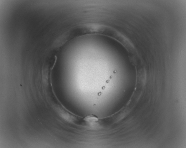 X0000083530509200702091010