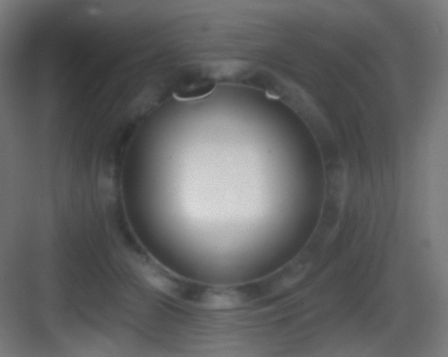 X0000083530510200702091010