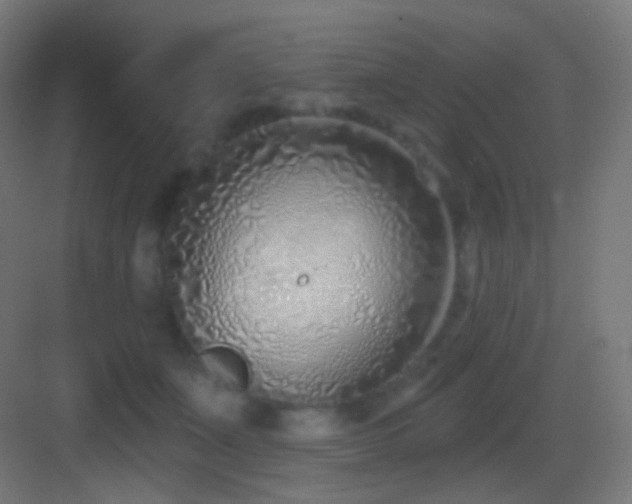 X0000083530511200702091010