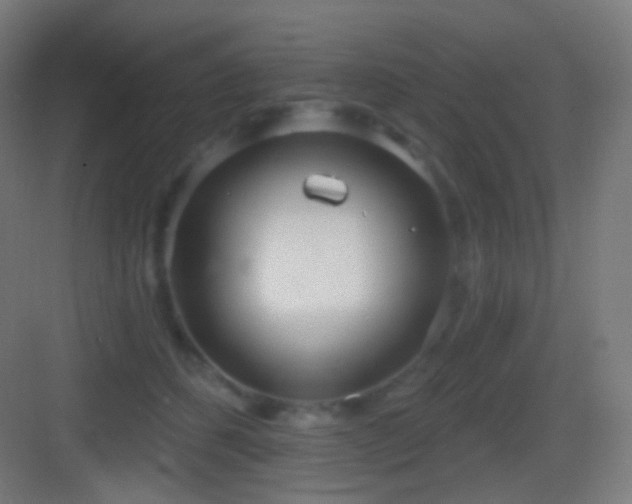 X0000083530512200702091010