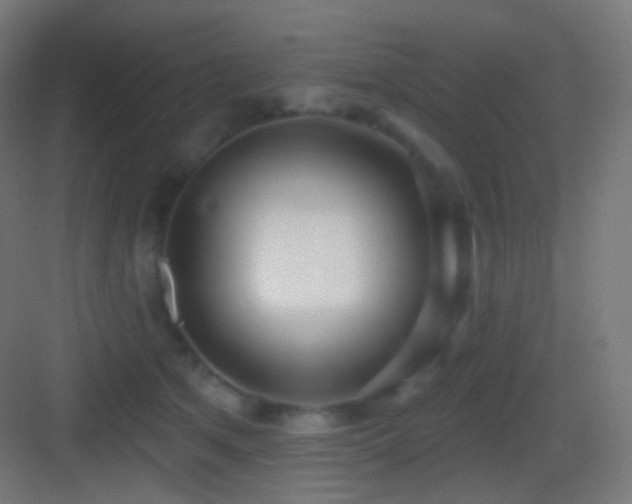 X0000083530513200702091010