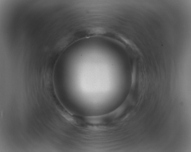 X0000083530517200702091010