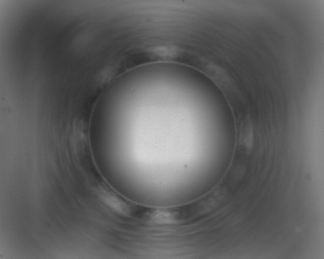 X0000083530518200702091010