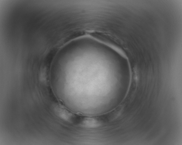 X0000083530519200702091010