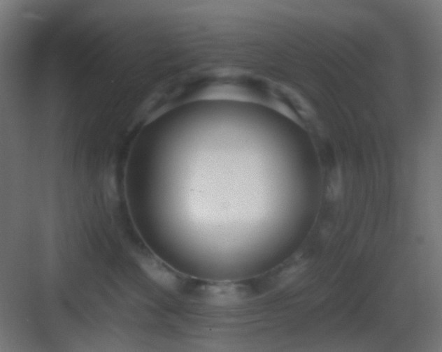 X0000083530524200702091009