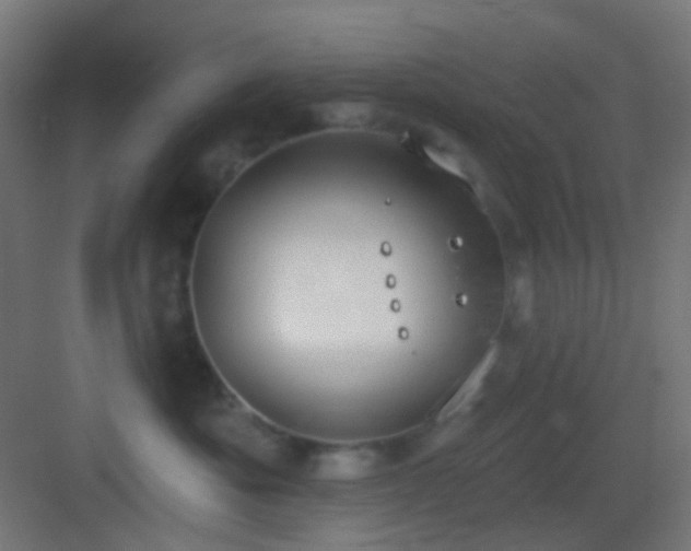 X0000083530525200702091009