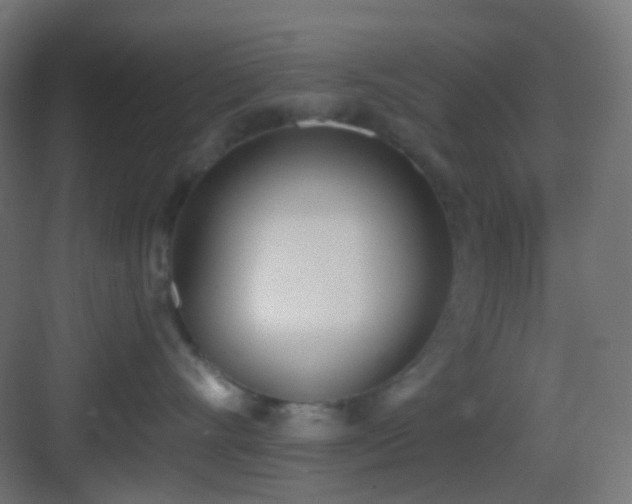 X0000083530528200702091009