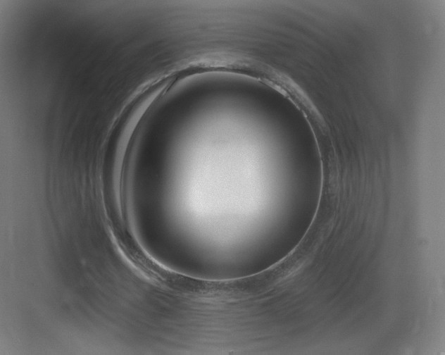 X0000083530530200702091009