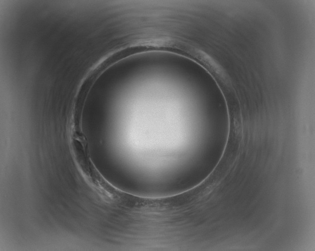 X0000083530532200702091009