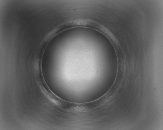 X0000083530537200702091009