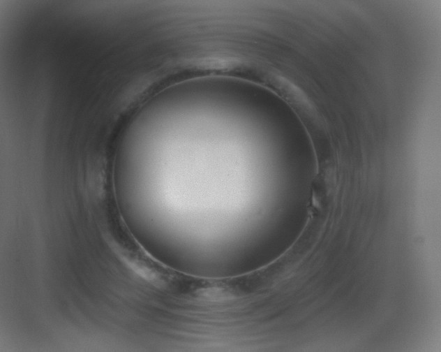 X0000083530544200702091009