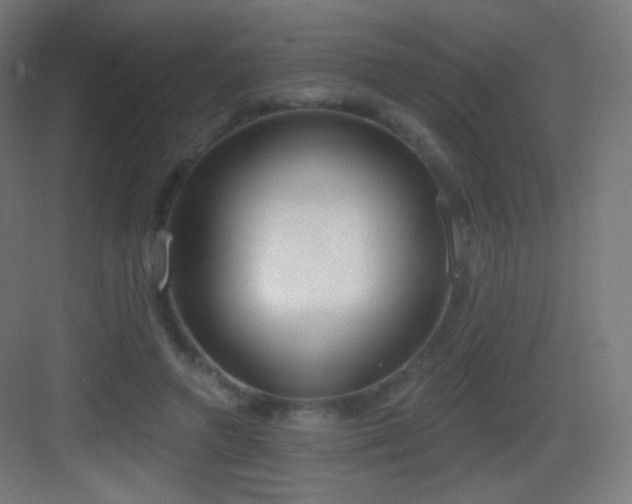 X0000083530546200702091009