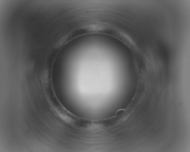 X0000083530549200702091009