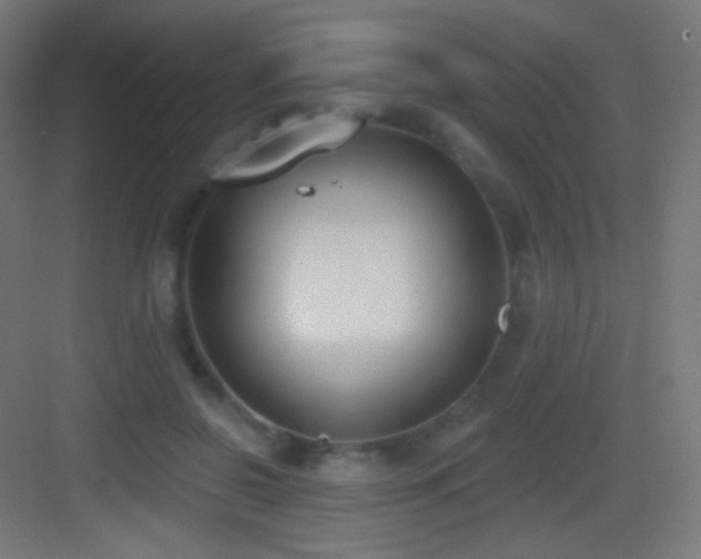 X0000083530550200702091009