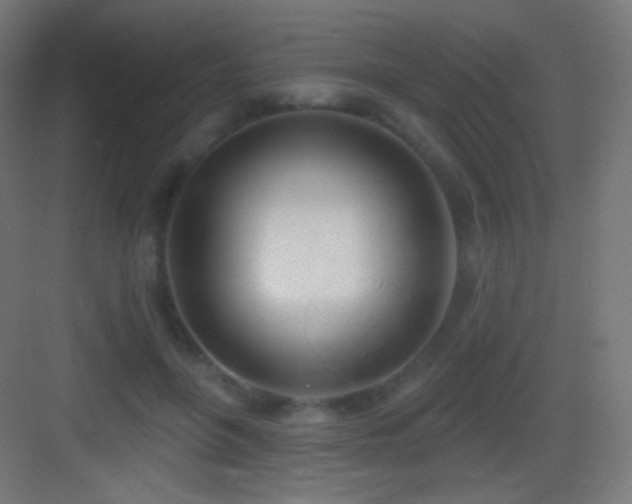 X0000083530551200702091009