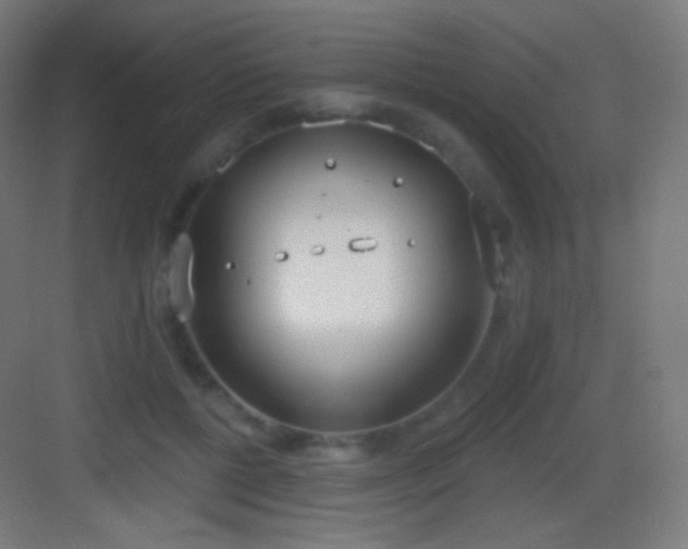 X0000083530552200702091009